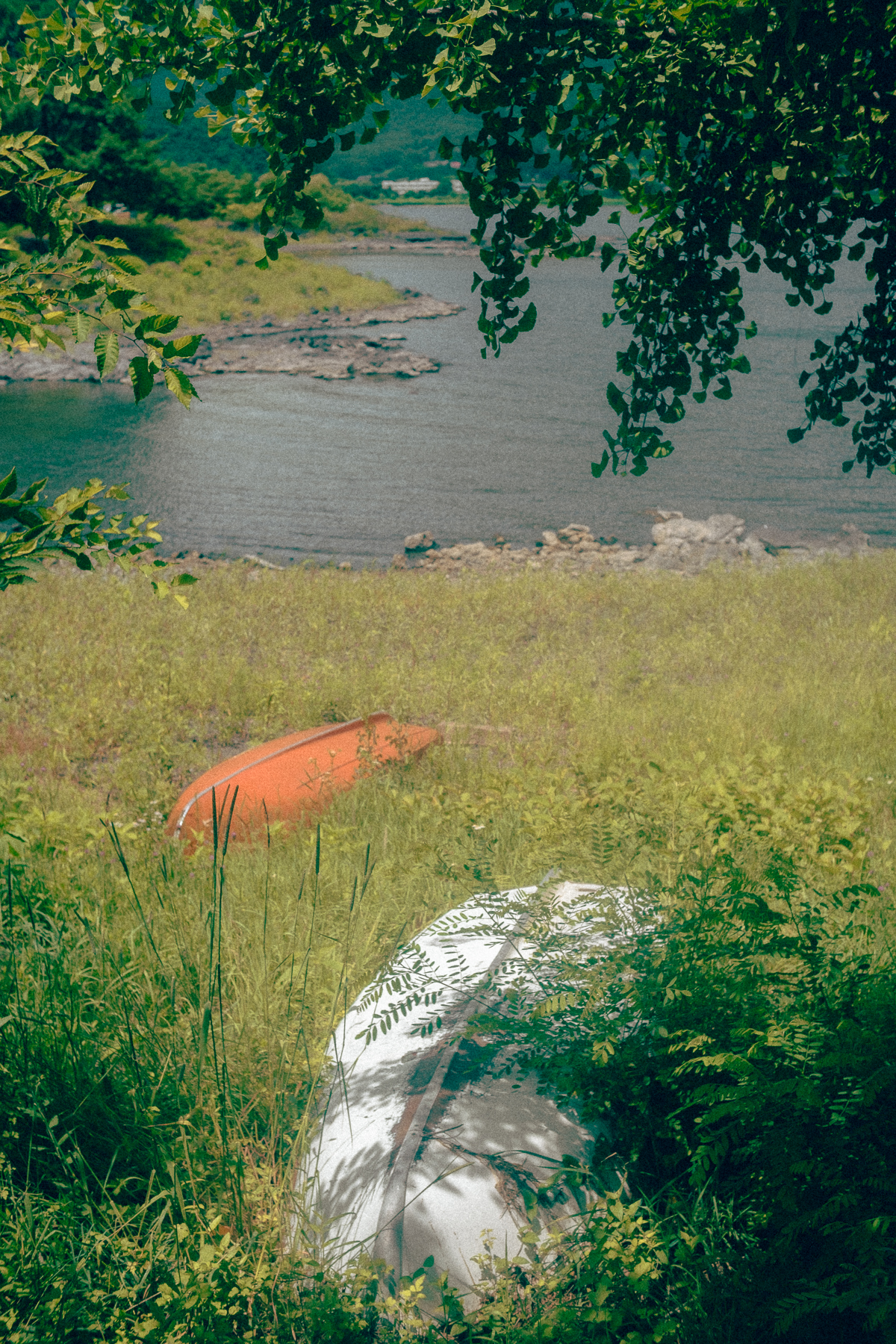 Canoes resting by a riverbank surrounded by greenery